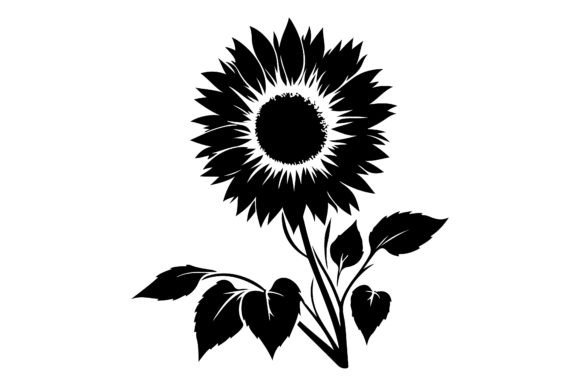 About Sunflower Black and White Isolated Review