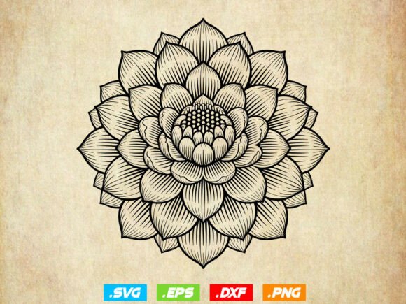 Botanical Flower Clipart, Floral SVG: A Designer's Real-World Review