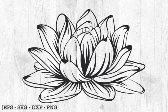 Lotus SVG Flower SVG Floral SVG Review