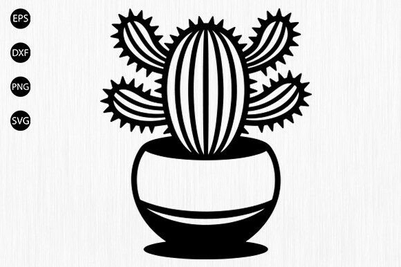 Succulent SVG, Mandala Svg, Floral Svg: A Designer's Real-World Review