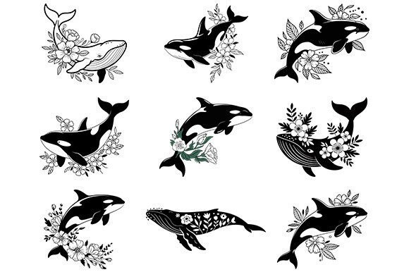 Whale Floral Svg,ocean Animals Bundle Review