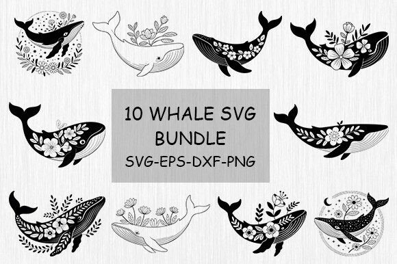Whale SVG Bundle,Whale Floral SVG Bundle Review